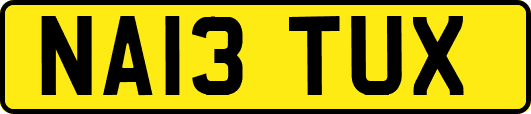 NA13TUX