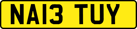 NA13TUY