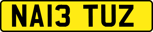 NA13TUZ