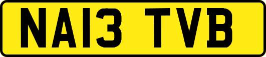 NA13TVB