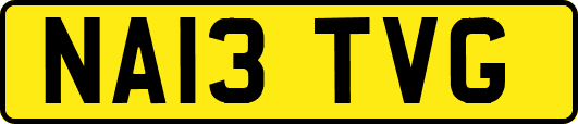 NA13TVG