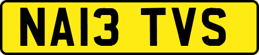 NA13TVS