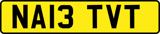 NA13TVT