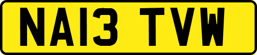 NA13TVW