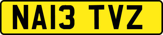 NA13TVZ