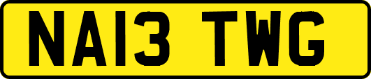 NA13TWG