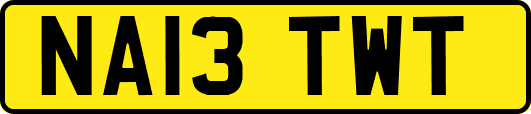 NA13TWT