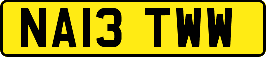 NA13TWW
