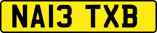 NA13TXB