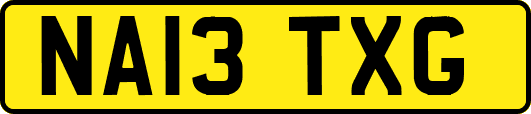 NA13TXG