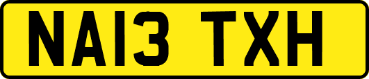 NA13TXH
