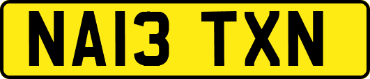 NA13TXN