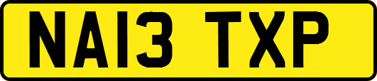 NA13TXP