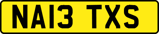 NA13TXS
