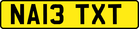 NA13TXT