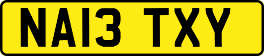 NA13TXY