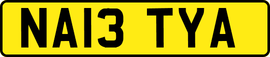 NA13TYA