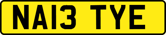 NA13TYE