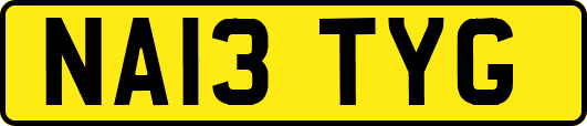 NA13TYG