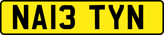 NA13TYN