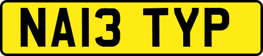 NA13TYP