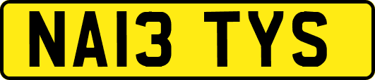 NA13TYS