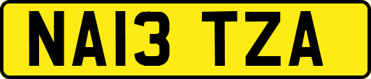 NA13TZA
