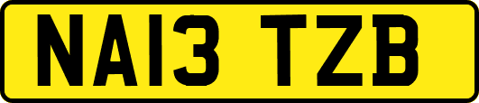 NA13TZB