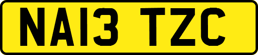 NA13TZC