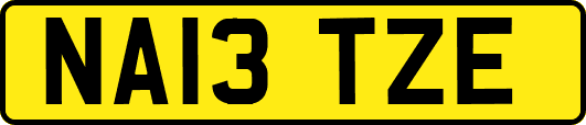 NA13TZE