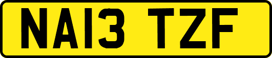 NA13TZF