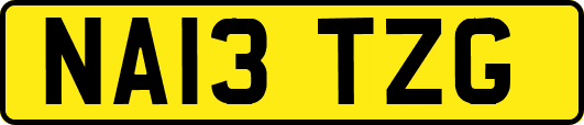 NA13TZG