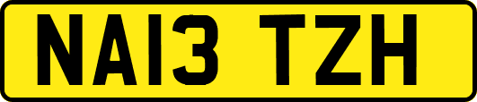 NA13TZH
