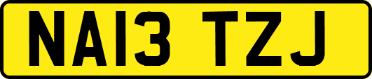 NA13TZJ