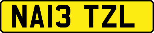 NA13TZL