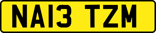 NA13TZM