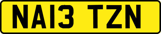 NA13TZN