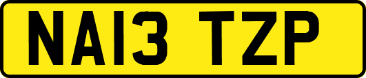 NA13TZP