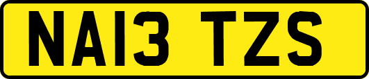 NA13TZS