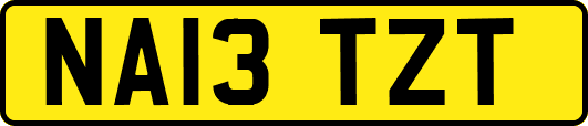 NA13TZT