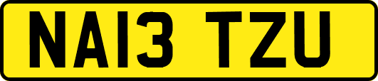 NA13TZU