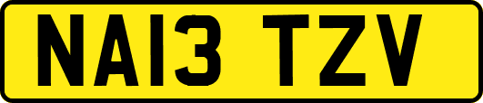 NA13TZV