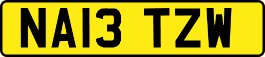 NA13TZW