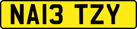 NA13TZY