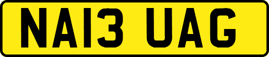 NA13UAG