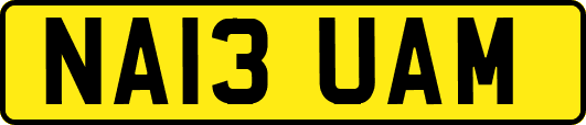 NA13UAM