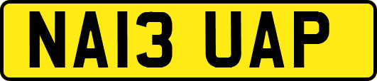 NA13UAP