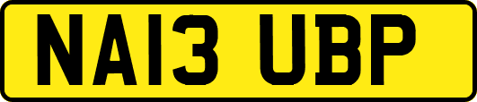 NA13UBP