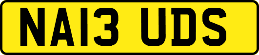 NA13UDS