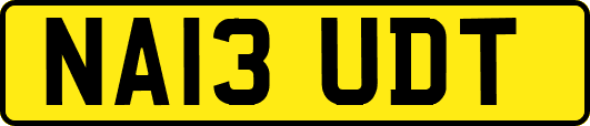 NA13UDT